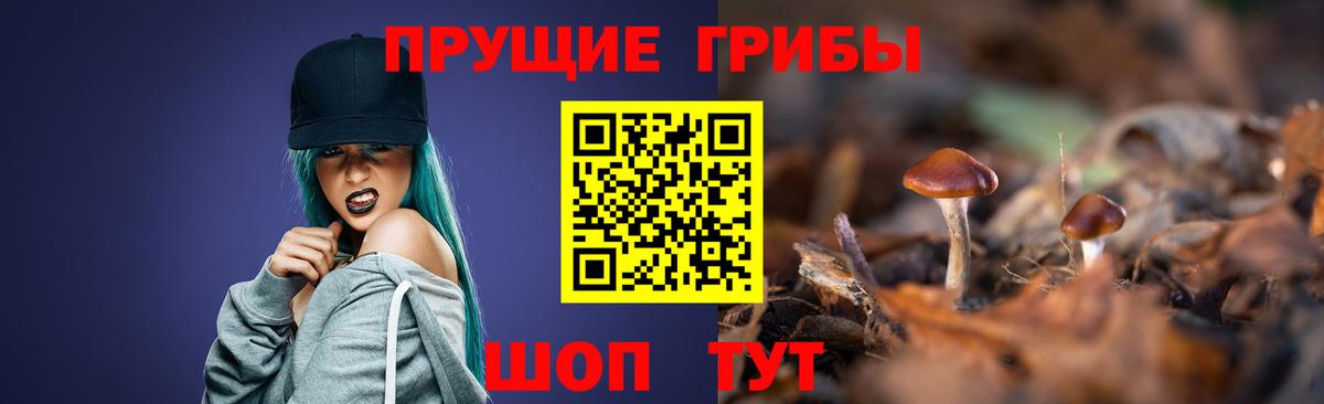 Псилоцибиновые грибы Magic Shrooms  Вход с VPN  Галлюциногенные грибы Cubensis  наркотики  Приморско-Ахтарск 