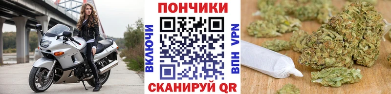 Канабис планчик Приморско-Ахтарск